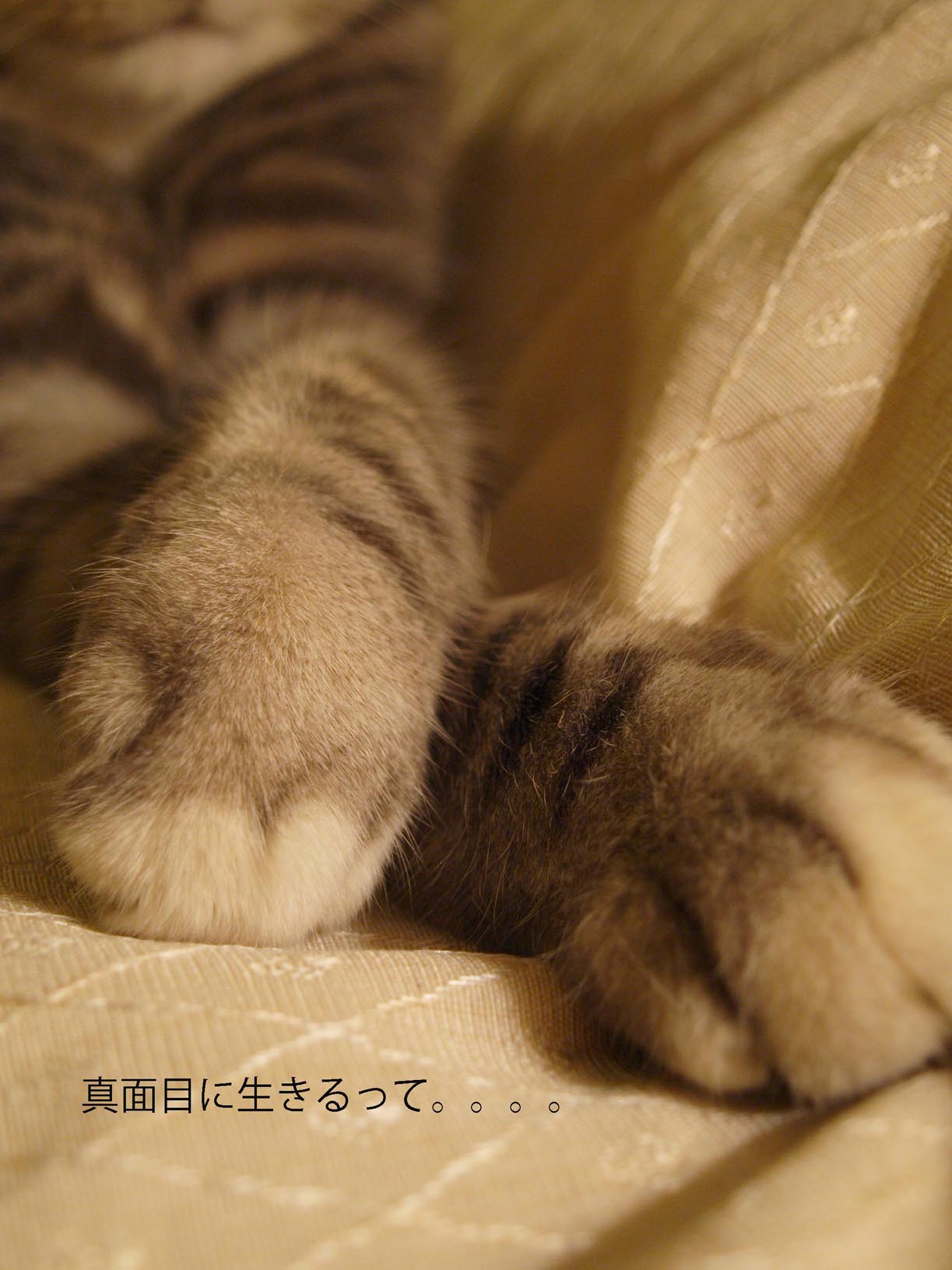 譲りあいの心ありますか??_c0179785_5482352.jpg