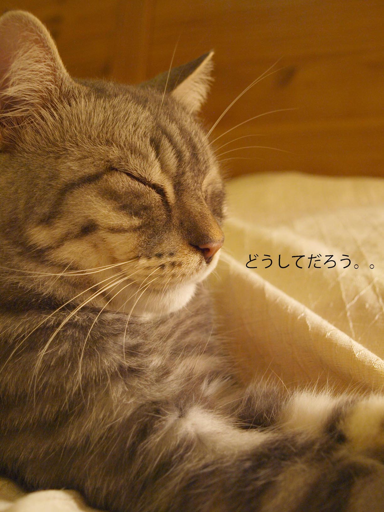 譲りあいの心ありますか??_c0179785_5484086.jpg