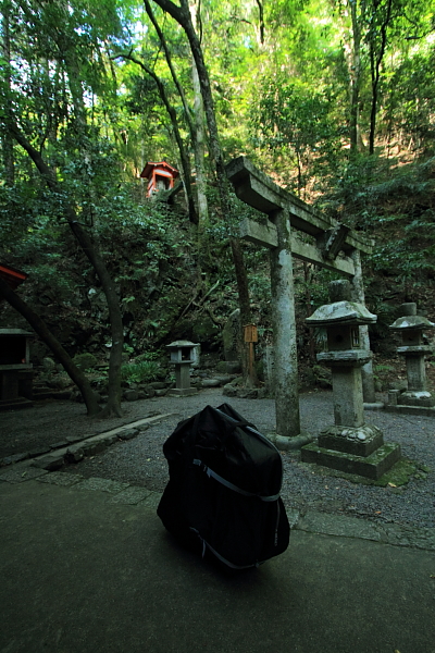 鞍馬寺_e0051888_23351599.jpg