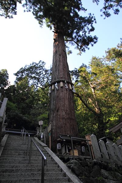 鞍馬寺_e0051888_2336239.jpg