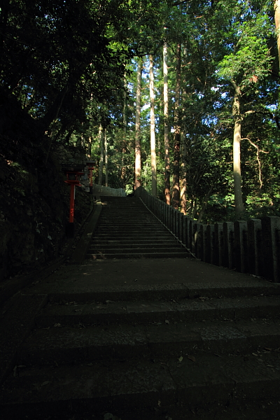 鞍馬寺_e0051888_2339373.jpg