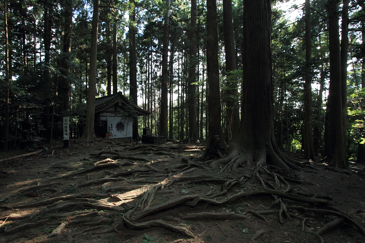 鞍馬寺_e0051888_23434776.jpg