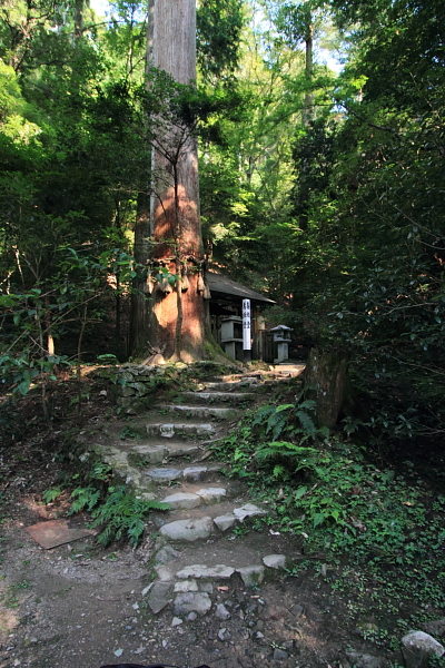 鞍馬寺_e0051888_23451930.jpg
