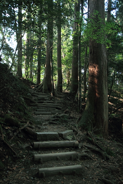 鞍馬寺_e0051888_23455626.jpg