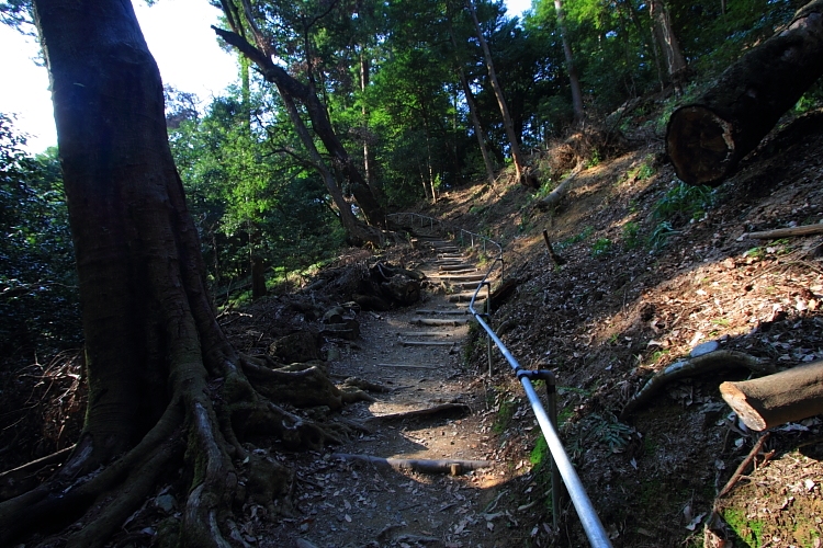 鞍馬寺_e0051888_2347542.jpg