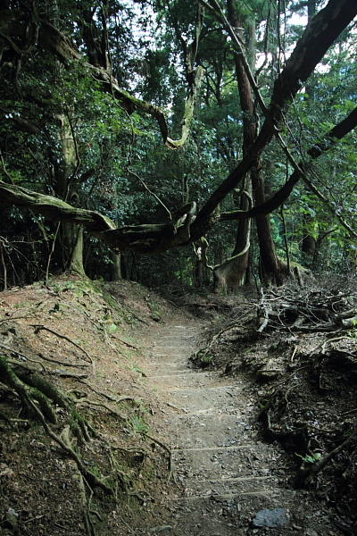 鞍馬寺_e0051888_23481428.jpg