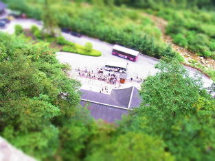b0204492_15465225.jpg