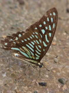 b0204492_16102488.jpg