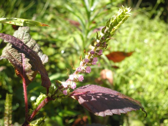 f0130894_21312751.jpg
