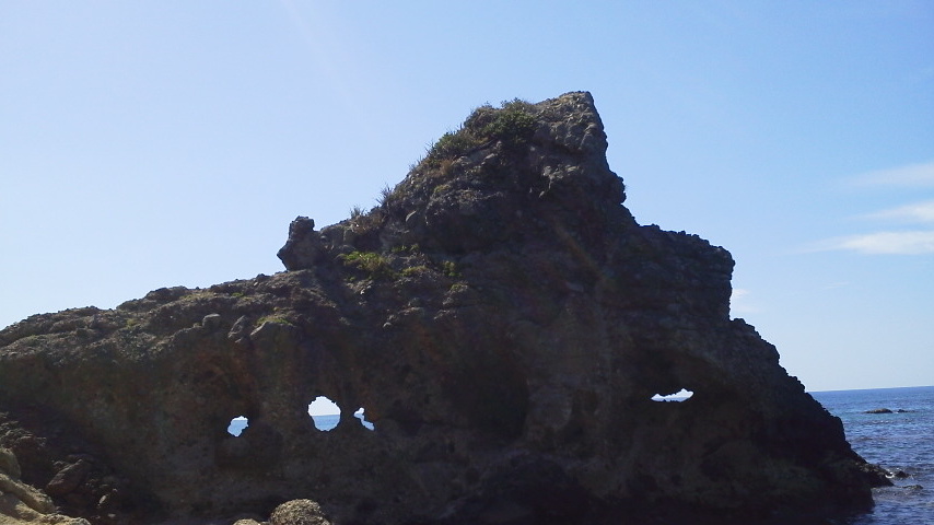 e0087595_14520.jpg