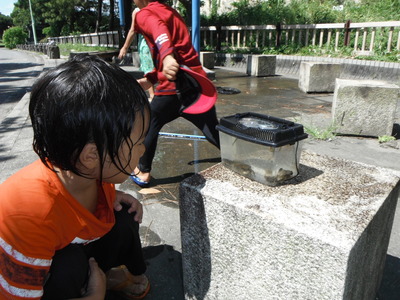 d0227298_21181544.jpg