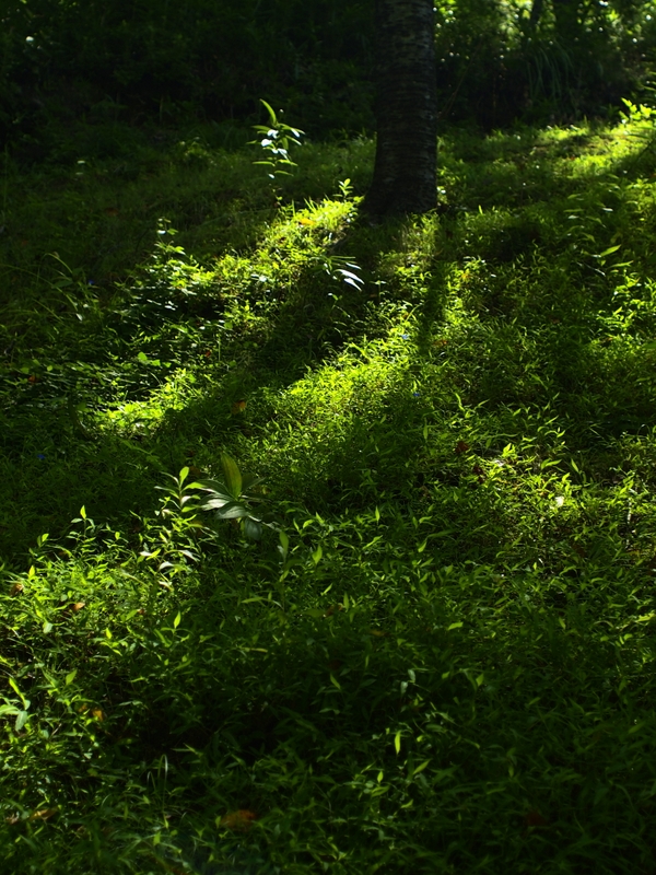 b0138101_221454.jpg