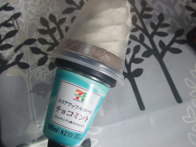 ココアワッフルコーン チョコミント_f0076001_23481652.jpg