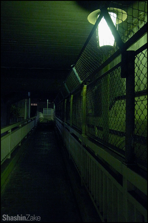 c0102003_17205712.jpg