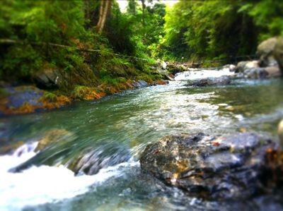 渓流_a0191804_2203322.jpg