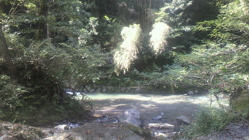 f0224804_14431567.jpg