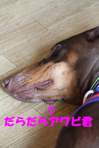 e0100007_10491837.jpg