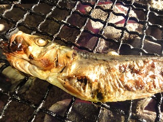 白子とサンマのステーキ!_f0157910_1434105.jpg