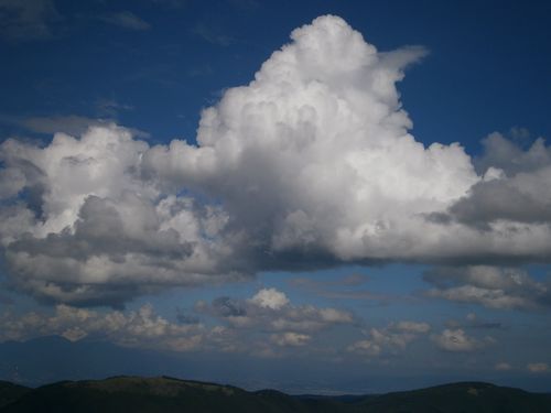 b0172911_17461123.jpg