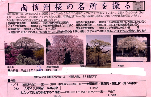桜のいろいろ4月13日（水）_e0180612_4445651.jpg