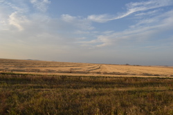 a0238314_1454368.jpg