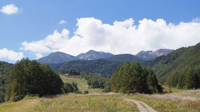f0233414_2146650.jpg