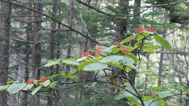 f0233414_2224532.jpg