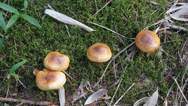 f0233414_22291350.jpg