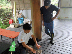 f0232920_11412145.gif