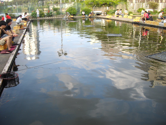 鶏とえのきのネギ塩しょうが炒め_d0104926_632202.jpg