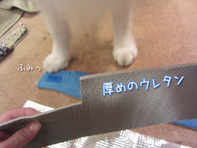 冷え冷え巻き 黒岡助手 : サモエド クローカのお気楽日記