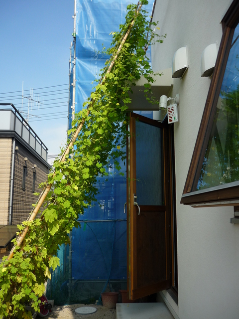 c0216434_91510.jpg
