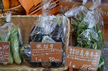 倉渕町無人野菜販売所ポタジェ　2011_e0228938_16272481.jpg