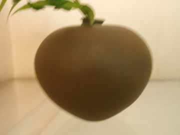 大中和典展 DMの花入れたち _b0132442_17392929.jpg