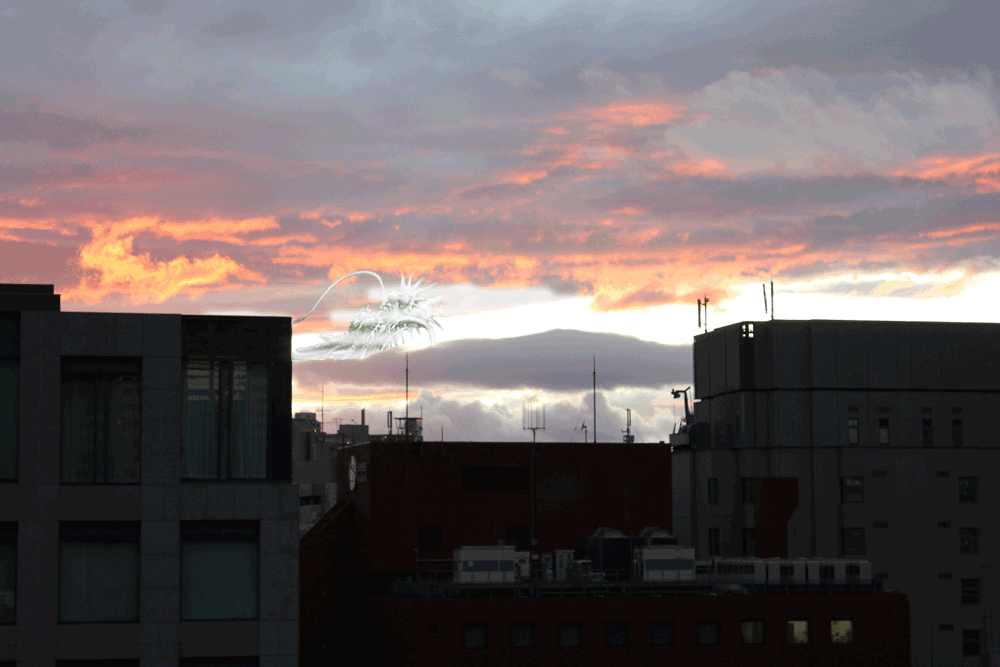 空が燃えている!_d0227044_14461871.gif