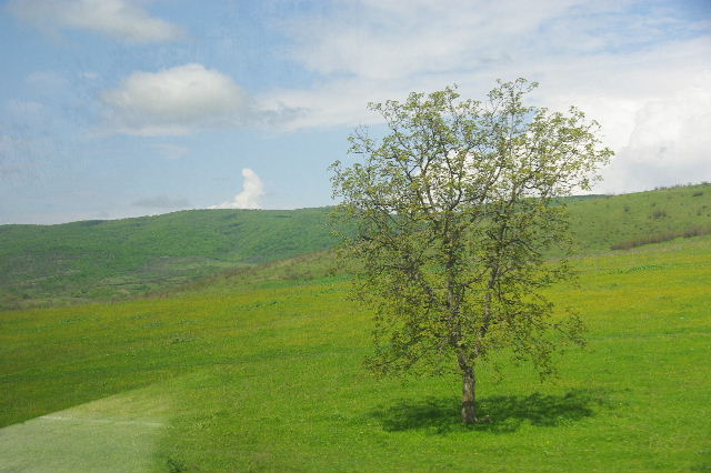 c0011649_01102.jpg