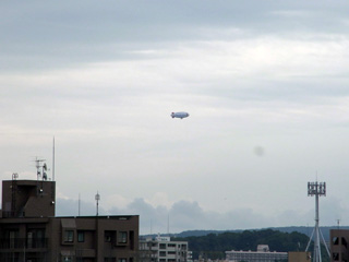 f0078756_1451715.jpg