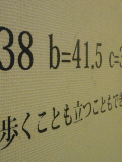 テオ・ヤンセン展_a0117358_0233913.jpg