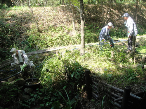 c0108460_1593225.jpg