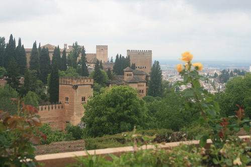d0193569_833119.jpg