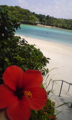 e0212073_8492116.jpg