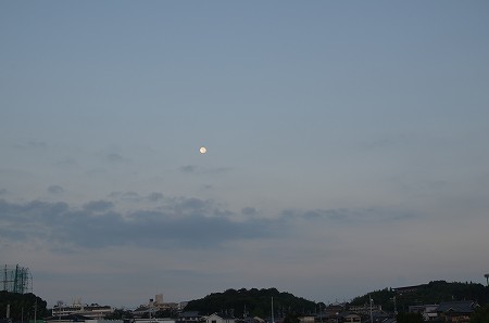 c0229483_21461698.jpg