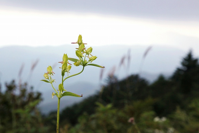 f0000789_1553365.jpg
