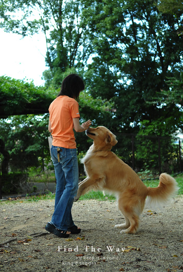 【犬的散歩日和】常磐自動車道・守谷SA_f0054594_19521256.jpg