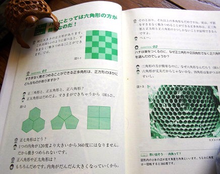 夏休みの宿題から 平面充填 かりふらわの日記 夏休みの宿題から 平面充填 かりふらわの日記