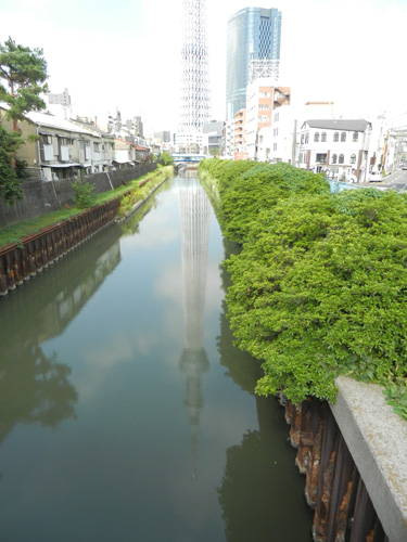 甲斐犬 那奈の東京・神奈川日帰り旅行（前編）_e0204795_1682393.jpg