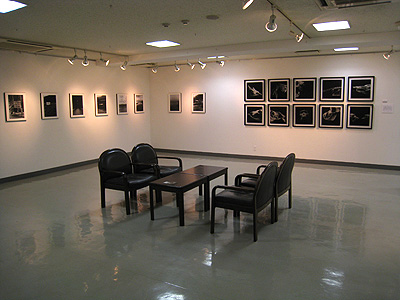 〜9/20（火）　北室:三人写真展ー無名の土ー　南室：白石貴士絵画展_f0106896_12294451.jpg