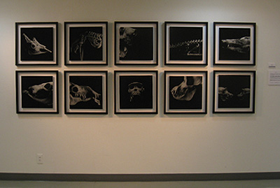 〜9/20(火) 北室:三人写真展ー無名の土ー 南室:白石貴士絵画展_f0106896_12302488.jpg