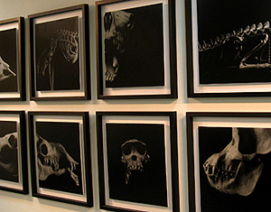 〜9/20(火) 北室:三人写真展ー無名の土ー 南室:白石貴士絵画展_f0106896_13544569.jpg