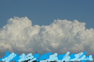 c0216700_1042666.jpg